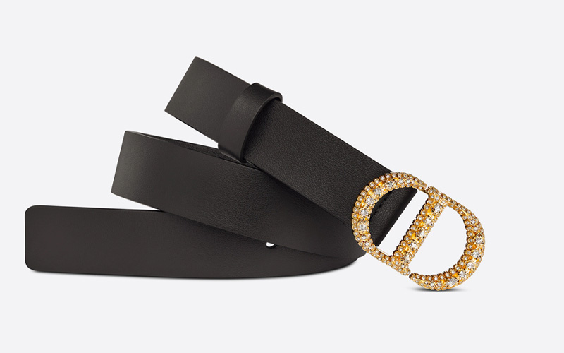30 MONTAIGNE CRYSTALS BELT $8,500>>按此購買(圖片來源:DIOR)