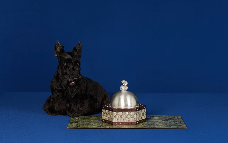 Gucci Hexagon GG Pet Bowl $15,950Pet Collection的產品包括寵物碗、垃圾袋收納包、頸圈、寵物大衣、T-Shirt等,而且買貼心到推出不同尺寸的版本,由小型犬