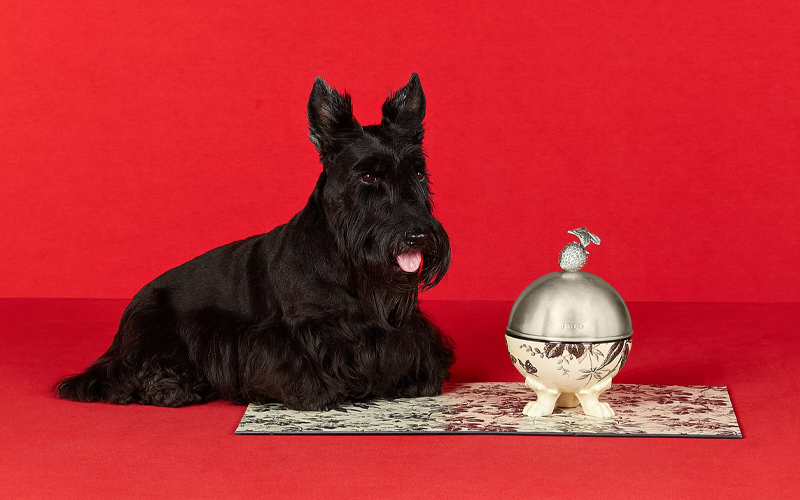 Gucci Pet Interlocking G Horsebit Bowl $5,130