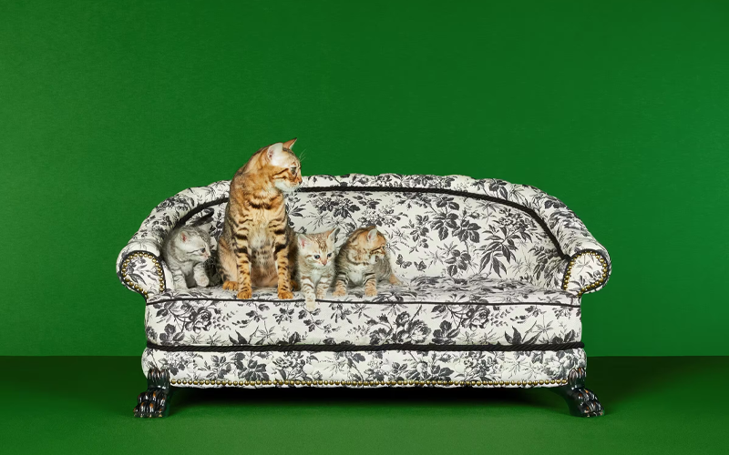 Gucci Herbarium Pet Bed $76,000說到整系列的奢華之最,必數這張以象牙色及磚紅色的亞麻材質打造、同時印有Herbarium印花的寵物床,其實如果寵物不用,光是放在家中也顯時