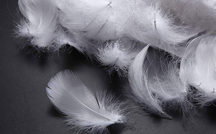 (圖片來源: Internet)一件羽絨由「羽毛(Feather)」及「絨毛(Down)」組成,而衣服內含有的絨毛成分愈高,代表就愈保暖。以鵝絨為例,標籤上「90/10」的羽絨,是指羽絨內含90%鵝絨
