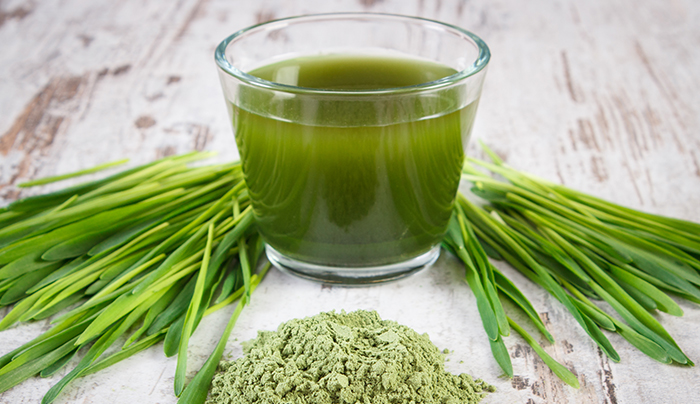日本青汁推薦｜青汁成分：大麥若葉採自禾本科植物的九州大麥若葉，不使用農藥栽培，有助腸內排毒，改善便秘問題2。