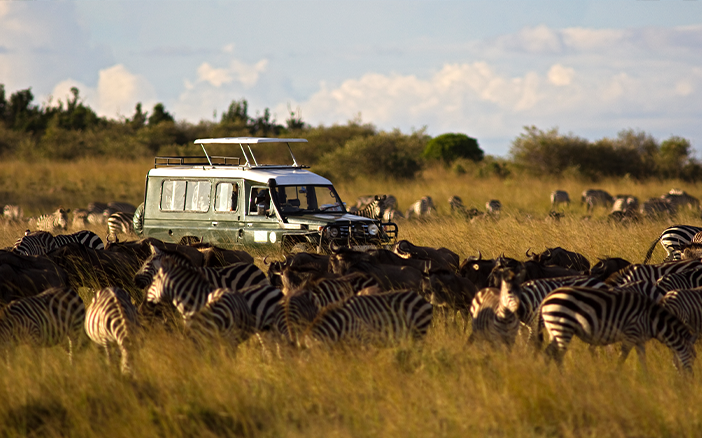網上圖片＞＞按此了解更多＜＜高端旅行團2023｜非洲動物大遷徙之旅